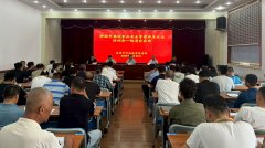 取活泼的案例阐发和现实操做指点